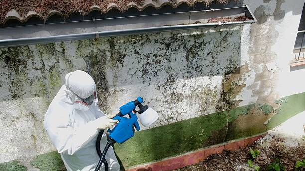 Trusted Crawl Space Mold Removal service in Angier, NC - Cheap Mold Removal
